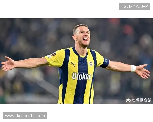 迪马尔科为哲科庆祝波黑胜感遗憾 迪马尔科为哲科庆祝波黑胜感遗憾