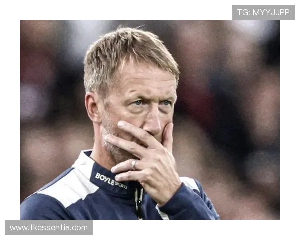 西汉姆主帅谈埃弗顿点球判罚感到忐忑